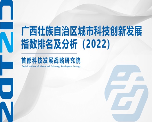 男女一上一下互插作视频爱网站【成果发布】广西壮族自治区城市科技创新发展指数排名及分析（2022）